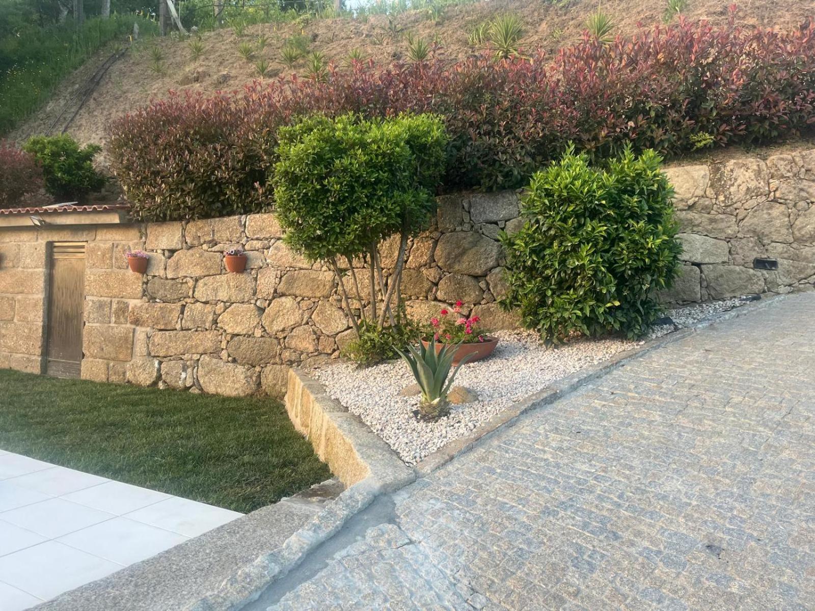 Crasto Payva Douro Nature Castelo de Paiva Eksteriør billede